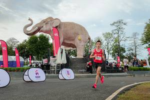 BIB: 
                            <button type="button" onclick="openModal(26528709)" class="btn btn-primary btn-sm float-right btn-popup" data-toggle="modal" data-target=".modal-high-quality">
                        <i class="fas fa-shopping-cart"></i> Add to Cart
                    </button>
                                            <button type="button" onclick="isThisMe(26528709, true)" class="btn btn-success btn-sm float-right btn-popup btn-isme hidden" data-toggle="tooltip" data-placement="bottom" title="นี่คือรูปของคุณใช่ไหม คลิกที่นี่เพื่อเอาเข้าอัลบั้ม">
                        <i class="fas fa-plus"></i> Add to album
                    </button>
                    <button type="button" onclick="isThisMe(26528709, false)" class="btn btn-warning btn-sm float-right btn-popup btn-isnotme hidden">
                        <i class="fas fa-ban"></i> Remove from album
                    </button>